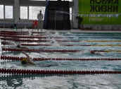 Краевые соревнования по плаванию на призы ОО 