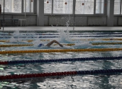 Краевые соревнования по плаванию на призы ОО 